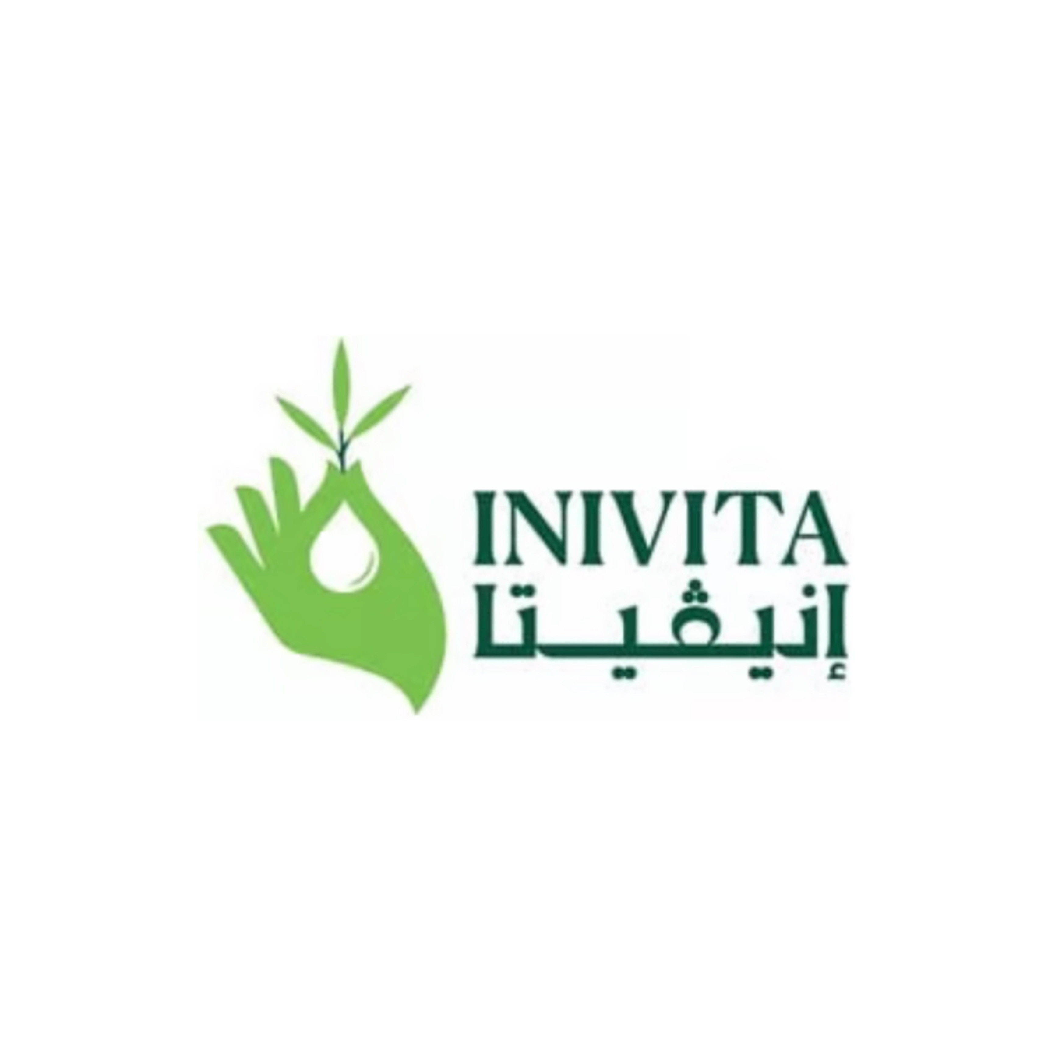انيفيتا